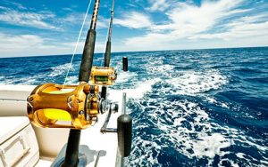 Garmin, fish finder, fishing, fish finder system, CHIRP sonar, garmin fish finder, nmea certified