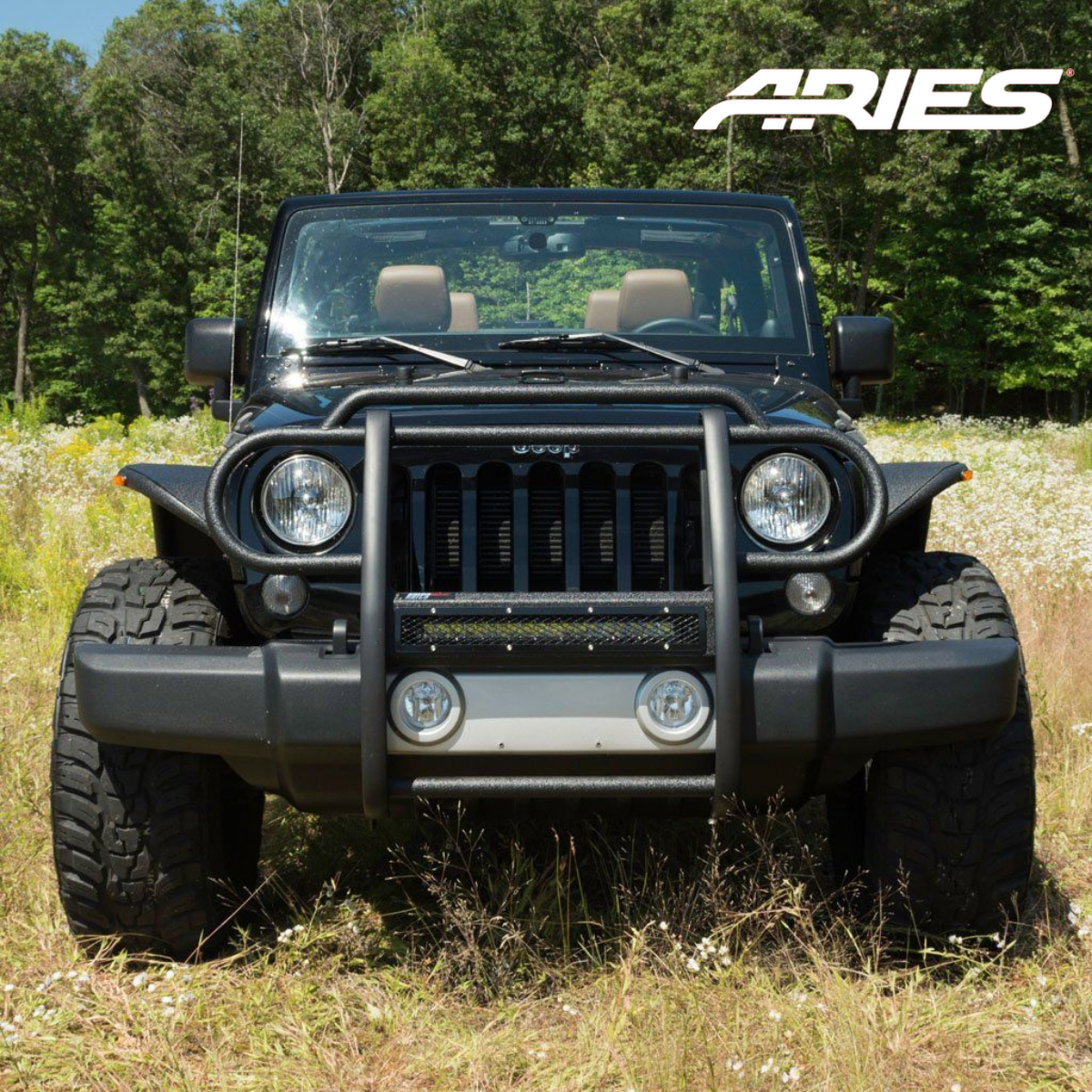 Protect Your Ride With ARIES